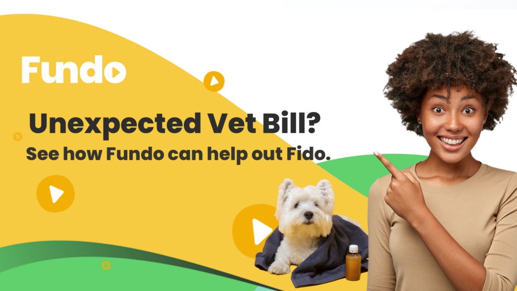 Loans for vet bills